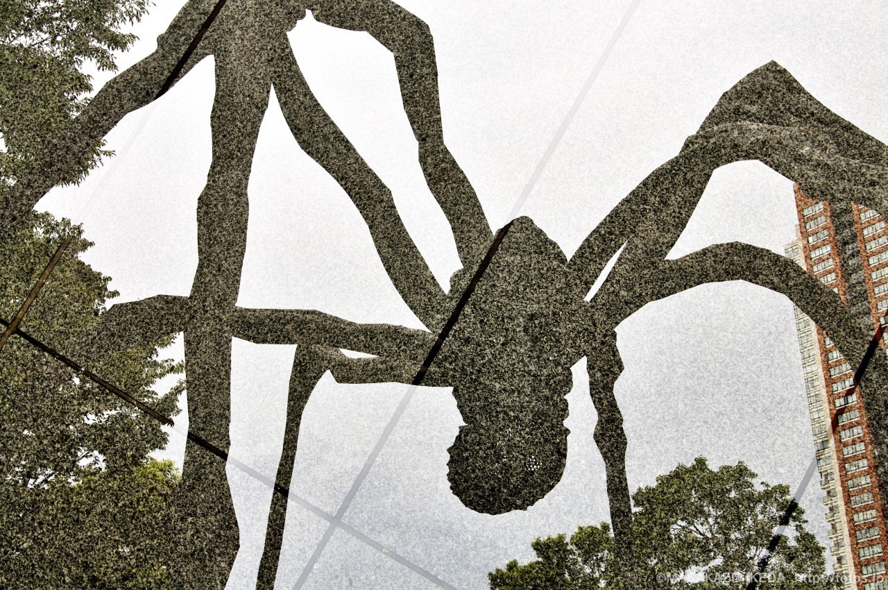 六本木ヒルズ巨大クモ・ママンのオブジェ