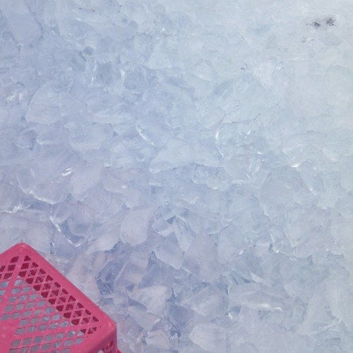 那珂湊おさかな市場 大量の保冷用氷