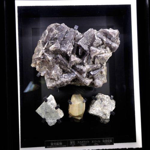 名古屋市科学館：蛍光鉱物（蛍石・スカポライト・オパール・珪亜鉛鉱）